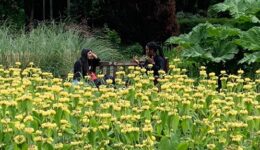 Planning an Away day in a Post-Lockdown world